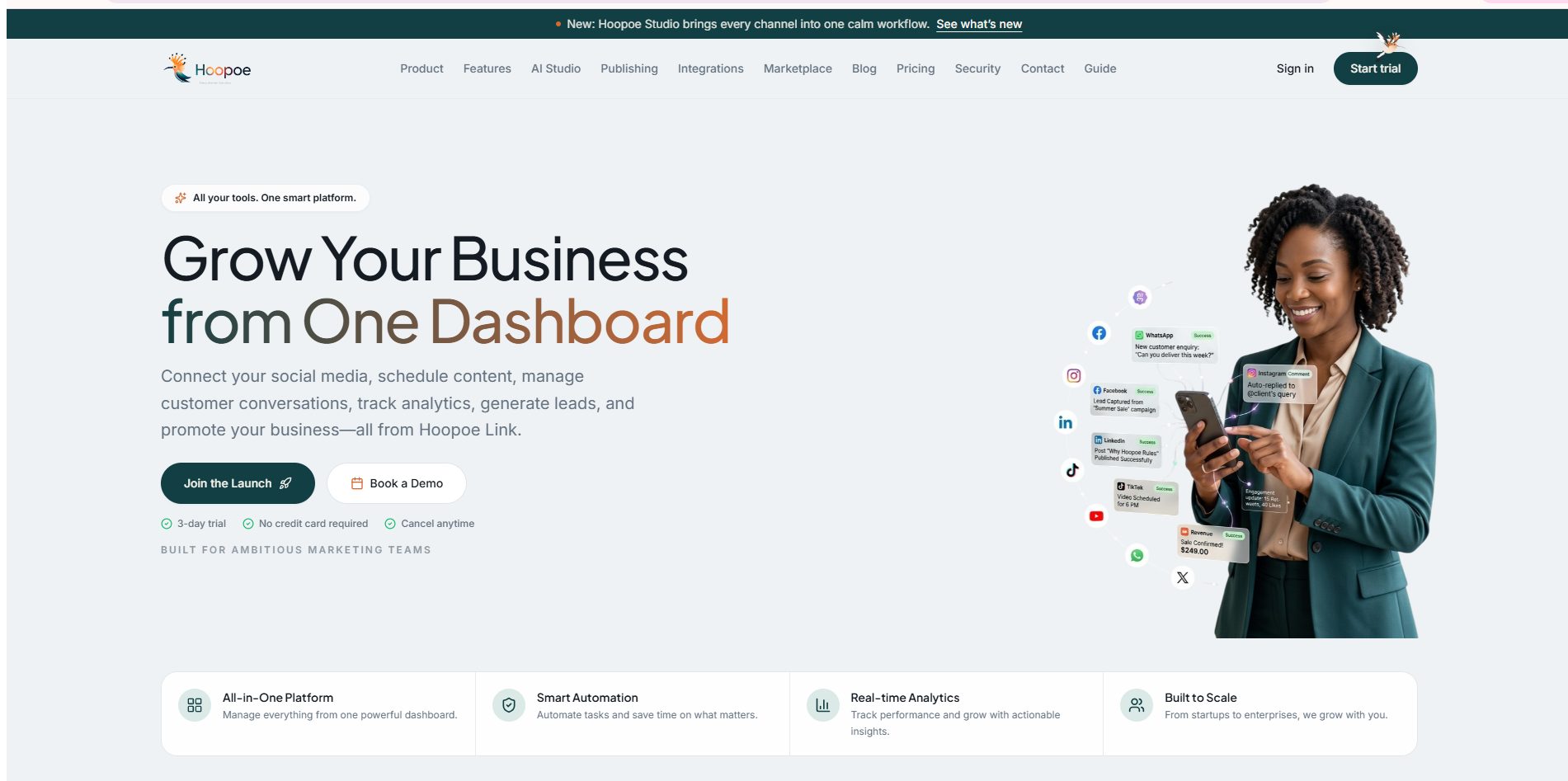 HoopoeLink website on a desktop
